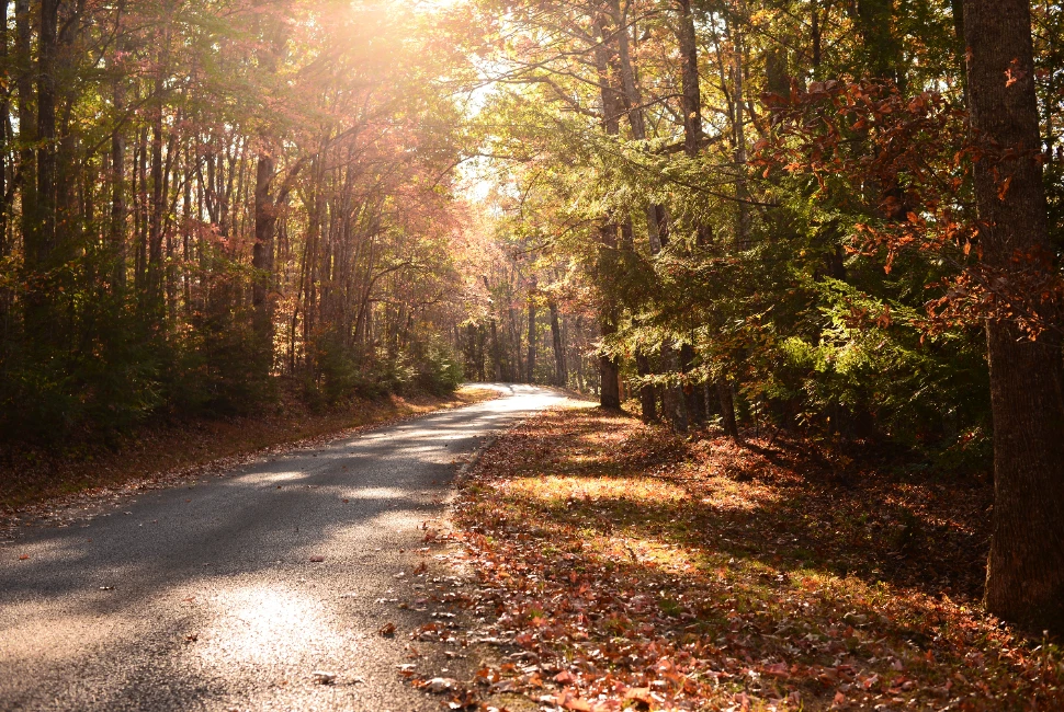 Hit the Road: Memorable Road Trips from Tullahoma, TN to Explore the Surrounding Beauty