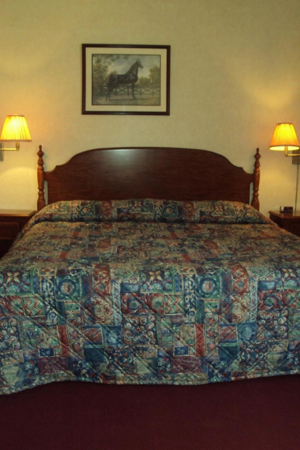 Executive Inn image 17