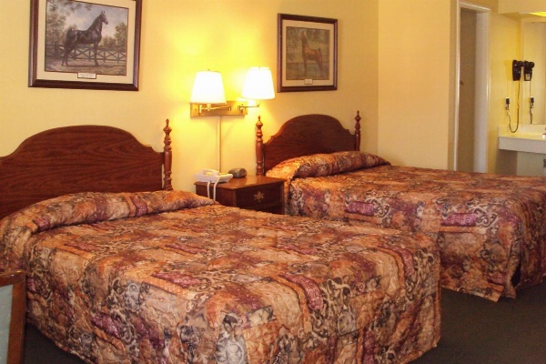 Executive Inn image 29