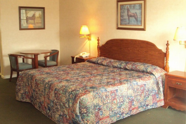 Executive Inn image 33