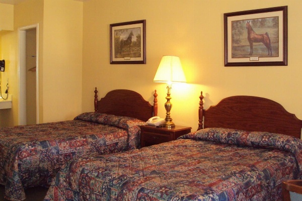 Executive Inn image 36