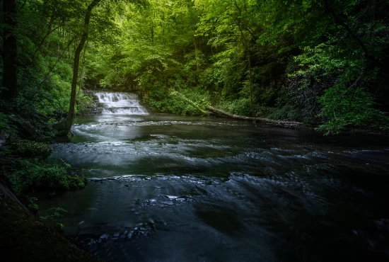 Unveiling the Hidden Gems: Top Attractions and Activities in Tullahoma, TN